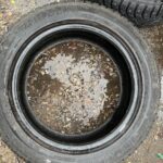 Mazzini Snow leopard 94T